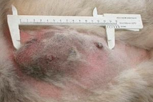 Przyczyny i leczenie niedrożności jelit